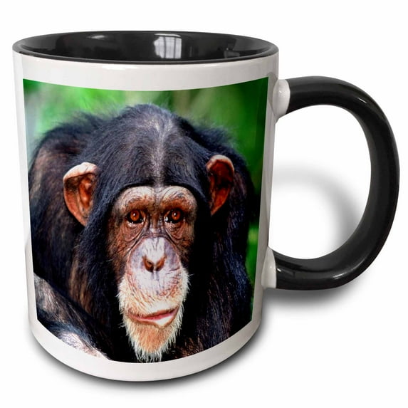 3drose, Almost Human Chimpanzee, 15oz Two-tone Black Mug