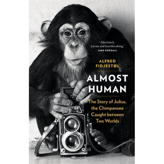 Almost Human: The Story of Julius, the Chimpanzee Caught Between Two Worlds, (Hardcover)