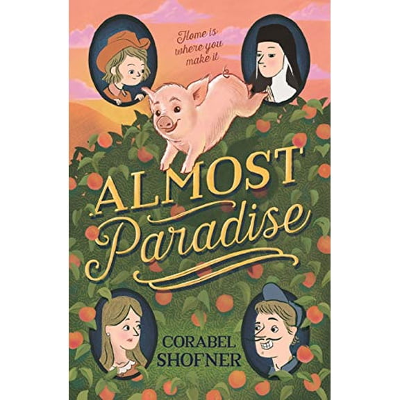Pre-Owned Almost Paradise (Paperback) 1250158583 9781250158581