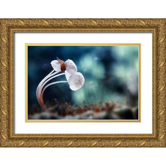 Almustaqim, Dede 14x11 Gold Ornate Wood Framed with Double Matting Museum Art Print Titled - Snail And Mushrooms