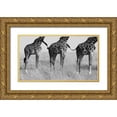 thumbnail image 1 of Alnaser, Mohammed 24x15 Gold Ornate Wood Framed with Double Matting Museum Art Print Titled - Wild Connection, 1 of 4