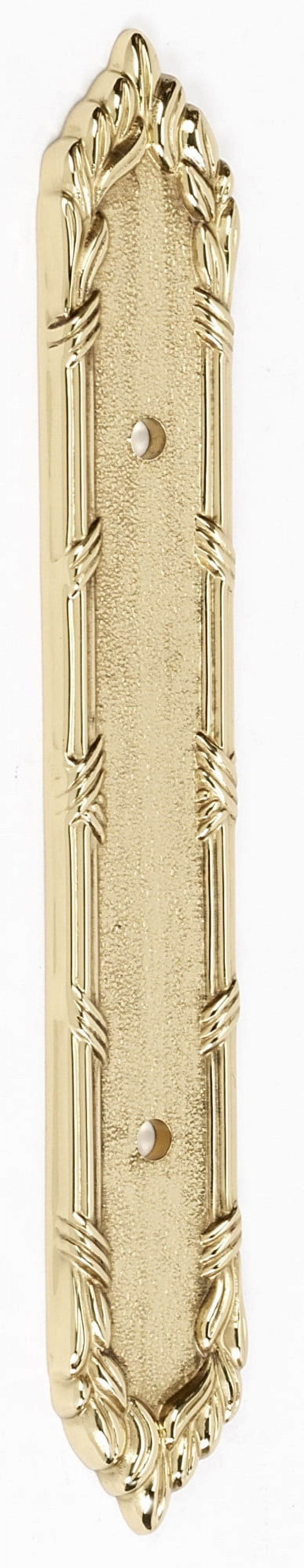 Polished Brass Ribbon and Reed Cabinet Backplate
