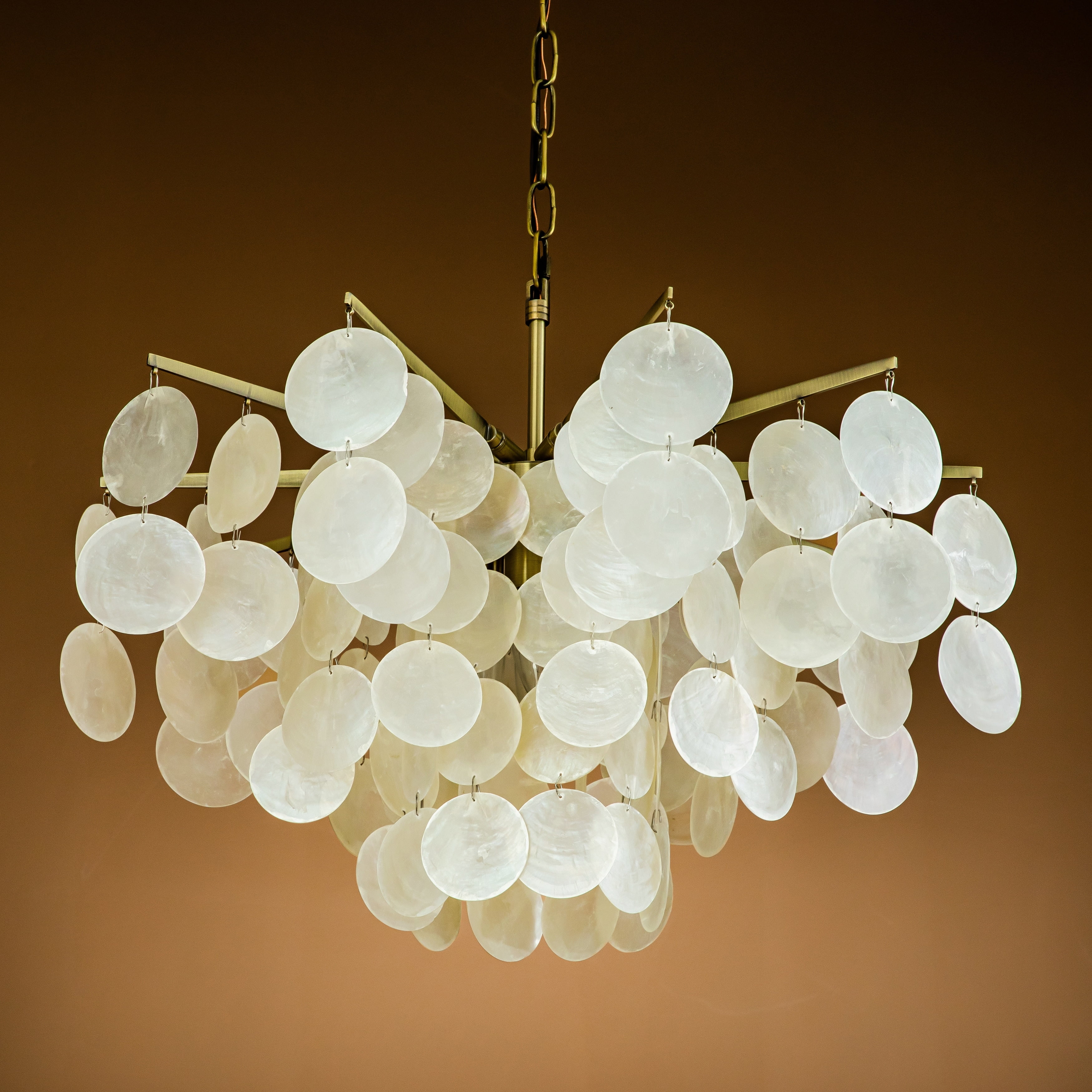 Chapado en Laton ゴールド　パール　Conche Twisted Conch Clicker Hoop – J&CO Jewellery