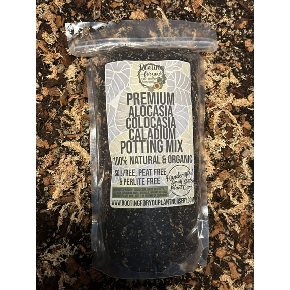 Alocasia - Colocasia - Caladium Premium Potting Mix