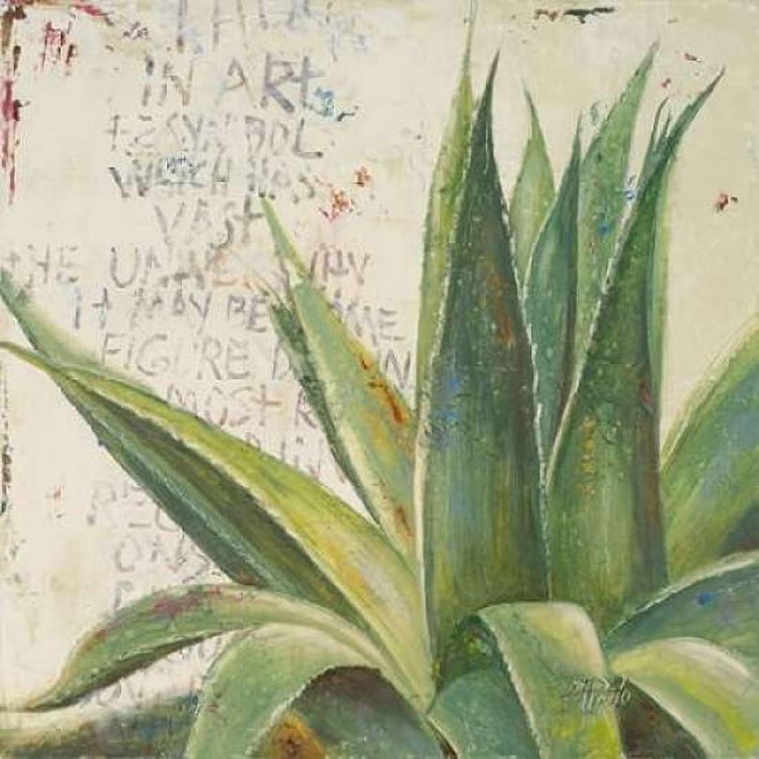 Aloe I Canvas Art - Patricia Pinto (24 x 24)