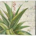 thumbnail image 1 of Aloe II by Patricia Pinto, Canvas Wall Art, 1 of 1