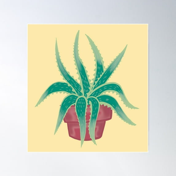 Aloe Poster Wall Art, Modern Wall Decor For Living Room Bedroom, 12x18 UNFRAMED