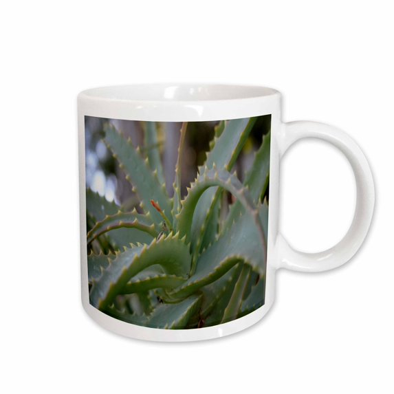 3drose, Aloe Vera Leaves, 15oz Mug