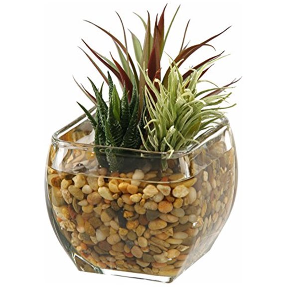Aloe and easter grass in glass cube