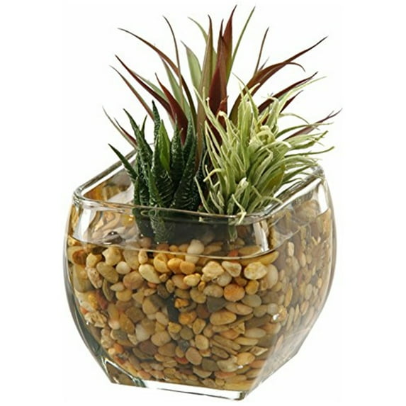 Aloe and easter grass in glass cube