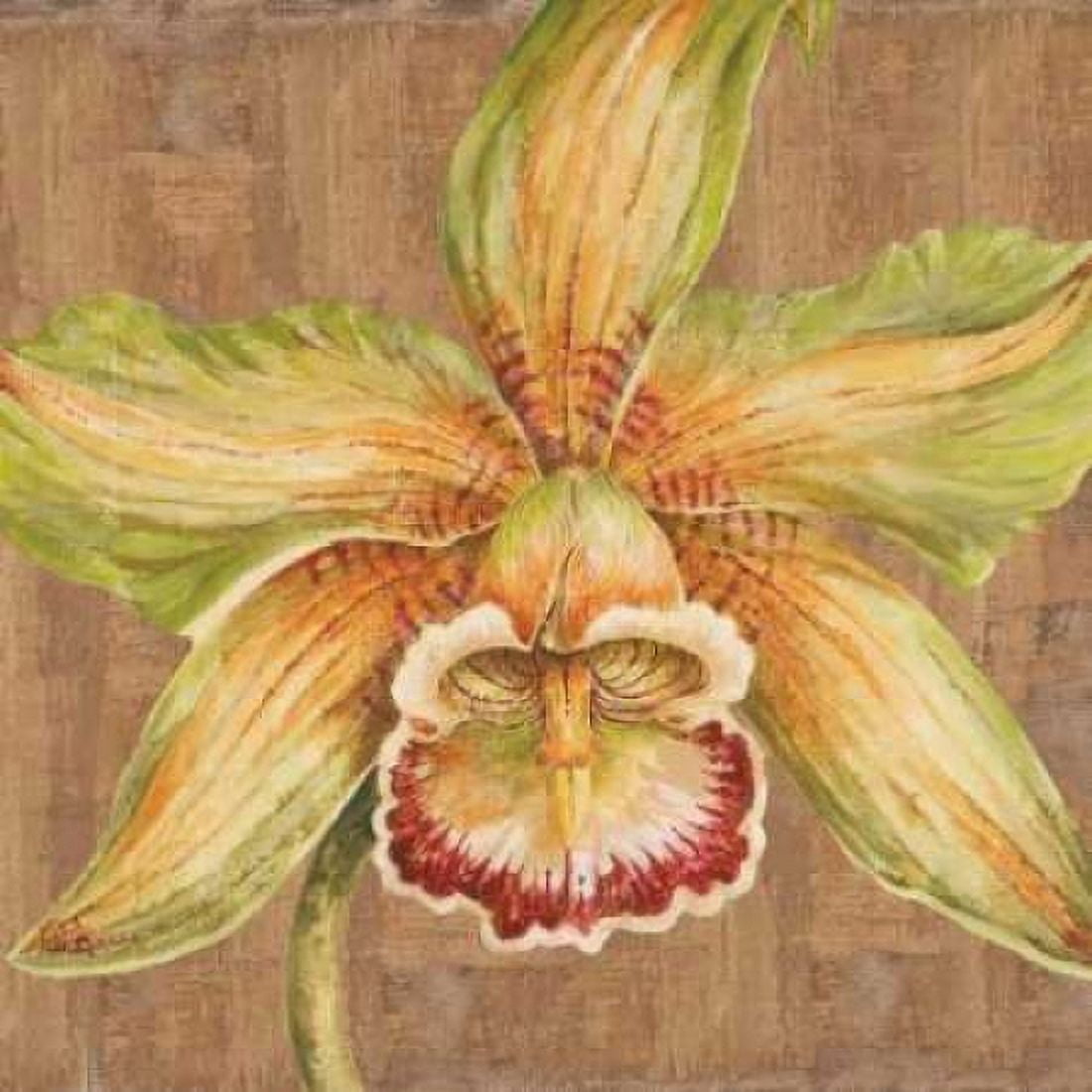 Aloha Beauty I Canvas Art - Judy Shelby (24 x 24)