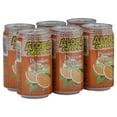 thumbnail image 1 of Aloha Maid Passion Orange Juice, 11.5 Fl. Oz., 6 Count, 1 of 19