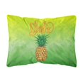 thumbnail image 1 of Aloha Pineapple Welcome Canvas Fabric Decorative Pillow, 1 of 3