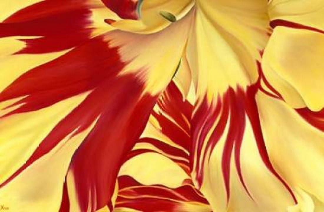 Alone Canvas Art - Yvonne Poelstra-Holzhaus (24 x 36)