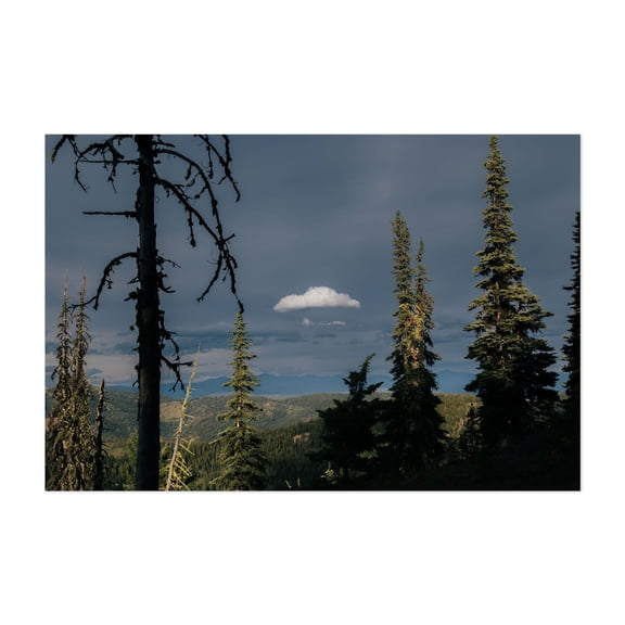 Alone - Washington Photography Forest Nature Landscape Mountain Wilderness Woodland Scenic Unframed Wall Art Print 32 x 48 inches