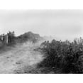 thumbnail image 1 of Along A Norman Hedgerow History (36 x 24), 1 of 2