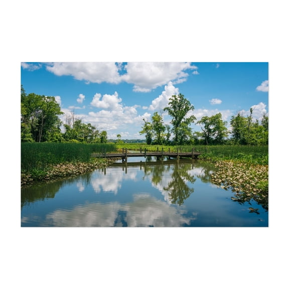 Along Mount Vernon Trail - Alexandria Virginia Photography Landscape Nature Bridge Scenic Water Summer Unframed Wall Art Print 32 x 48 inches