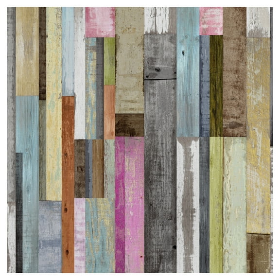 Along the Grain II by Paul Duncan Canvas Art Print