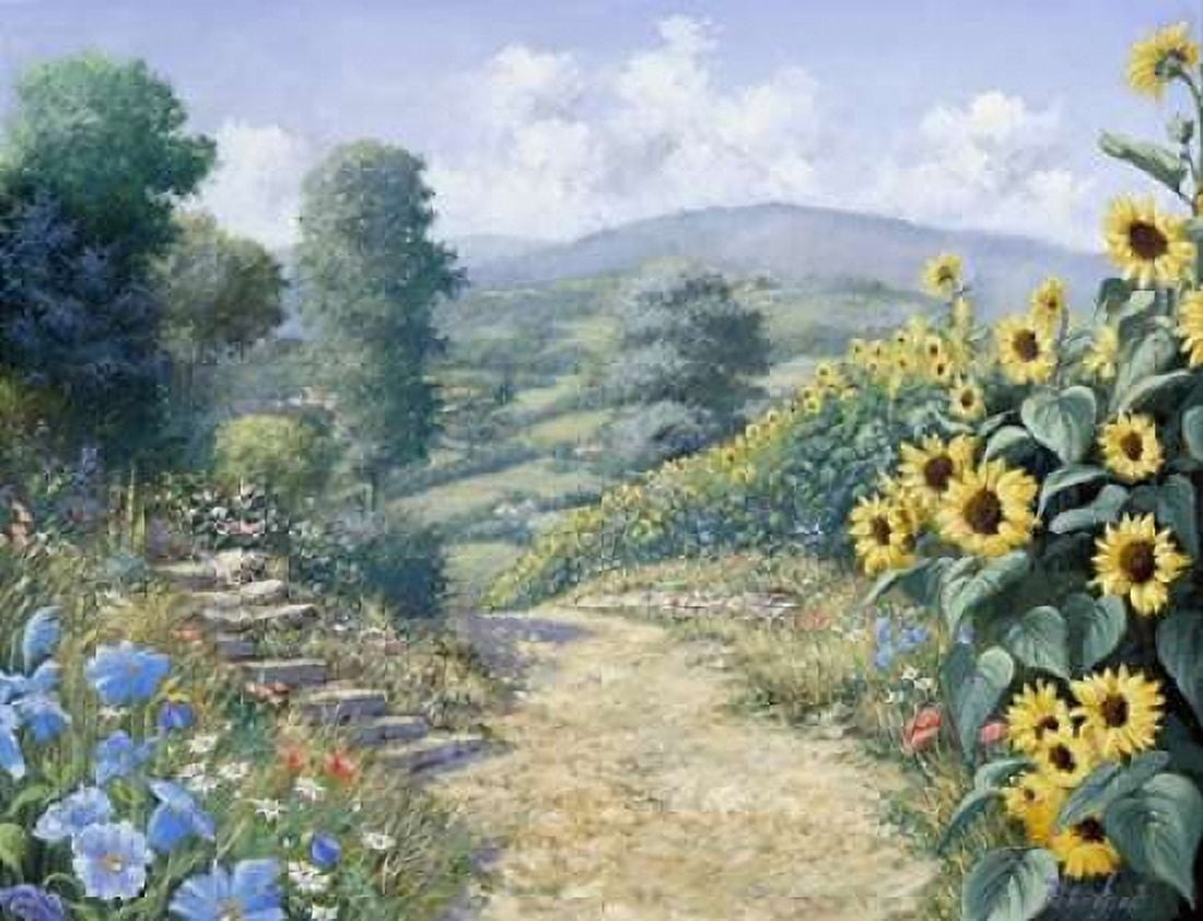 Along the sunflowers Canvas Art - Peter Motz (18 x 24)