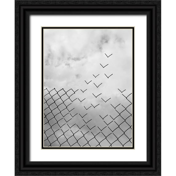 Alonso, Daniel 12x14 Black Ornate Wood Framed with Double Matting Museum Art Print Titled - Freedom