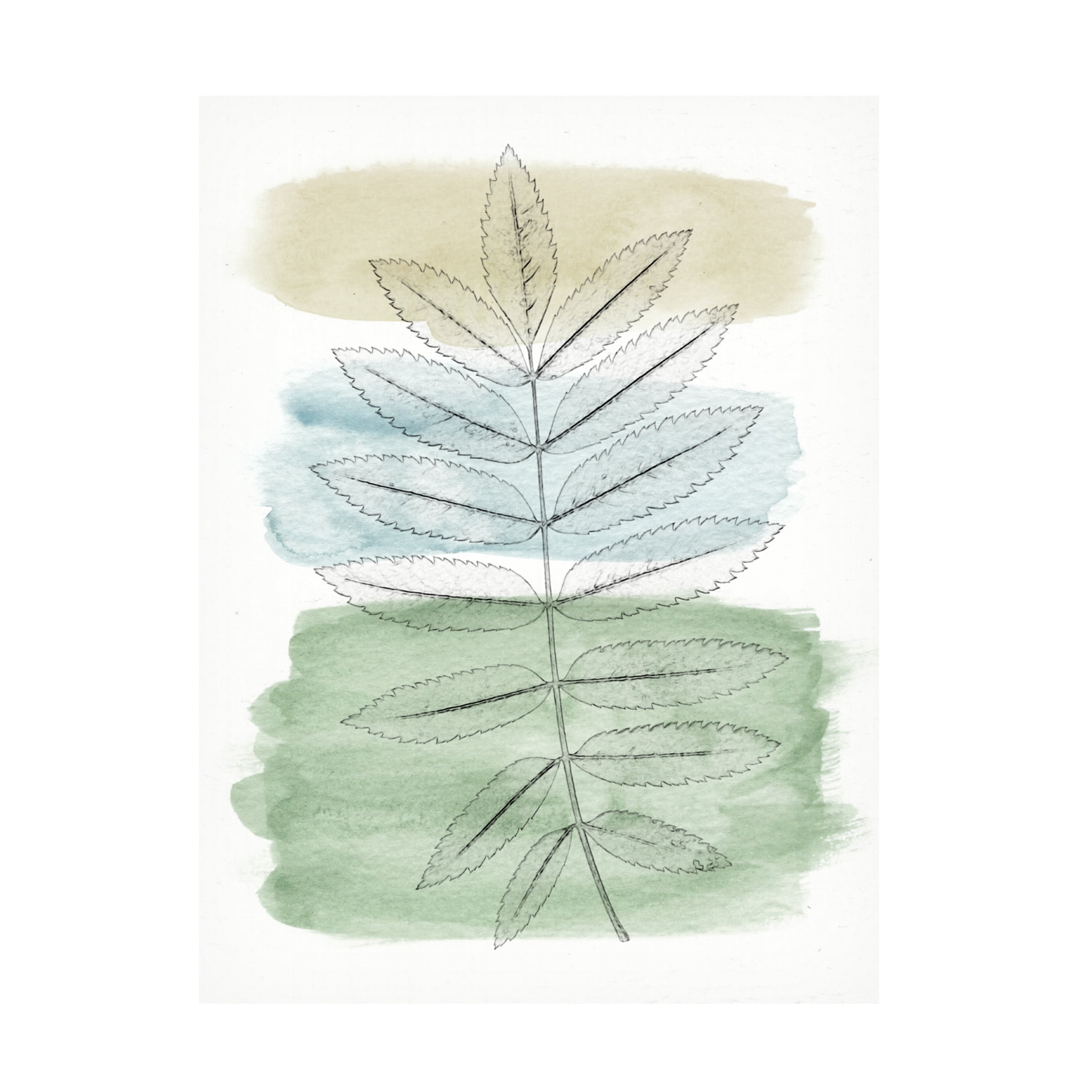 Alonzo Saunders 'Spring Branch II' Canvas Art