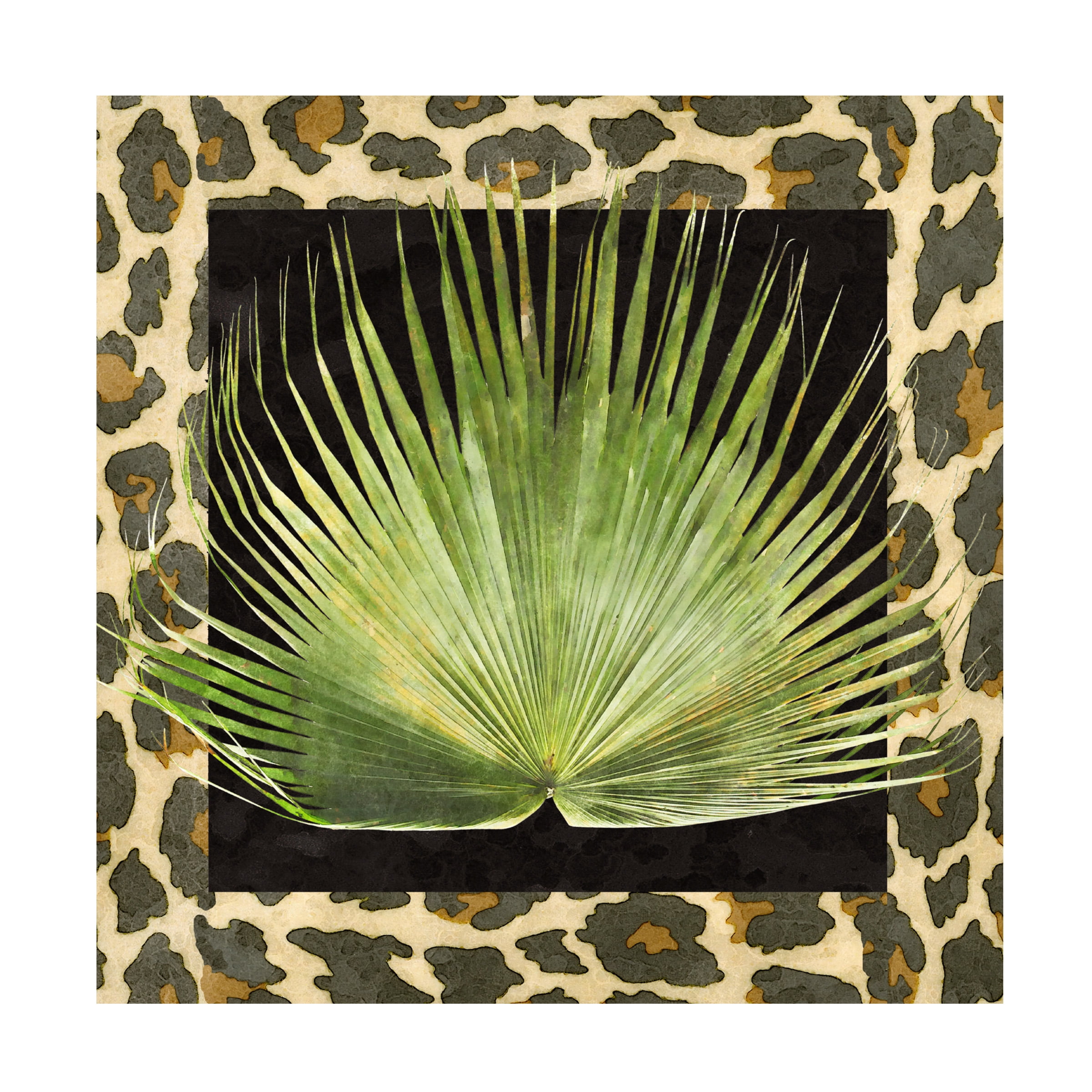 Alonzo Saunders 'Tropic Collection III' Canvas Art