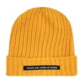 thumbnail image 1 of Aloohaidyvio Knitted Beanie Hat for Women and Men,Winter Hats for Women Men Fleece Lined Warm for Cold Weather, Beanie for Women Fashion Skull Cap, 1 of 2