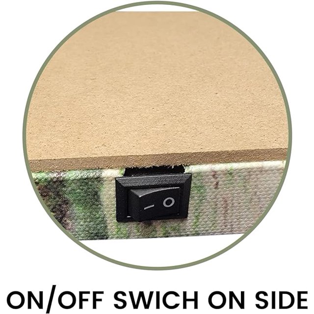 Alottagifts Painted Butterfly Canvas Wall Art Print With Timer LED