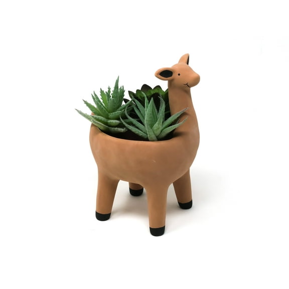 Cotta Planters Alpaca Ceramic Succulent Planter Pot with Drainage – 6.5" Terra Cotta Style