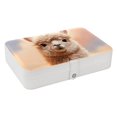 thumbnail image 1 of Alpaca Elegant PU Leather Decorative Box Jewelry Organizer with Removable Compartment - Portable Earring Organizer, 1 of 6