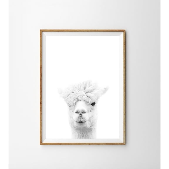 Alpaca Llama Boho Nursery Black And White Animal Wall Art Unframed Paper Print