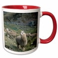 thumbnail image 1 of 3drose, Alpaca Wildlife, Huascaran Np, Andes, Peru - Sa17 Ksc0048 - Kevin Schafer, 11oz Two-tone Red Mug, 1 of 6