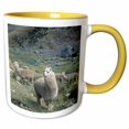thumbnail image 1 of 3drose, Alpaca Wildlife, Huascaran Np, Andes, Peru - Sa17 Ksc0048 - Kevin Schafer, 11oz Two-tone Yellow Mug, 1 of 6