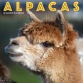 thumbnail image 1 of Alpacas 2026 12 X 12 Wall Calendar, (Hardcover), 1 of 5