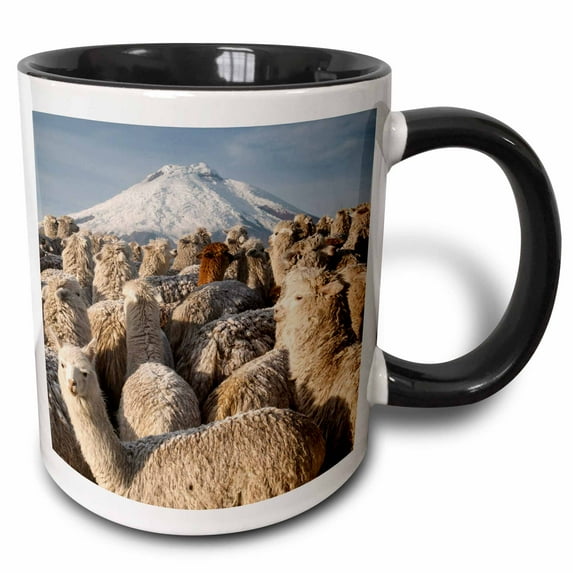 3drose, Alpacas, Cotopaxi Volcano, National Park, Ecuador - Sa07 Pox2245 - Pete Oxford, 15oz Two-tone Black Mug