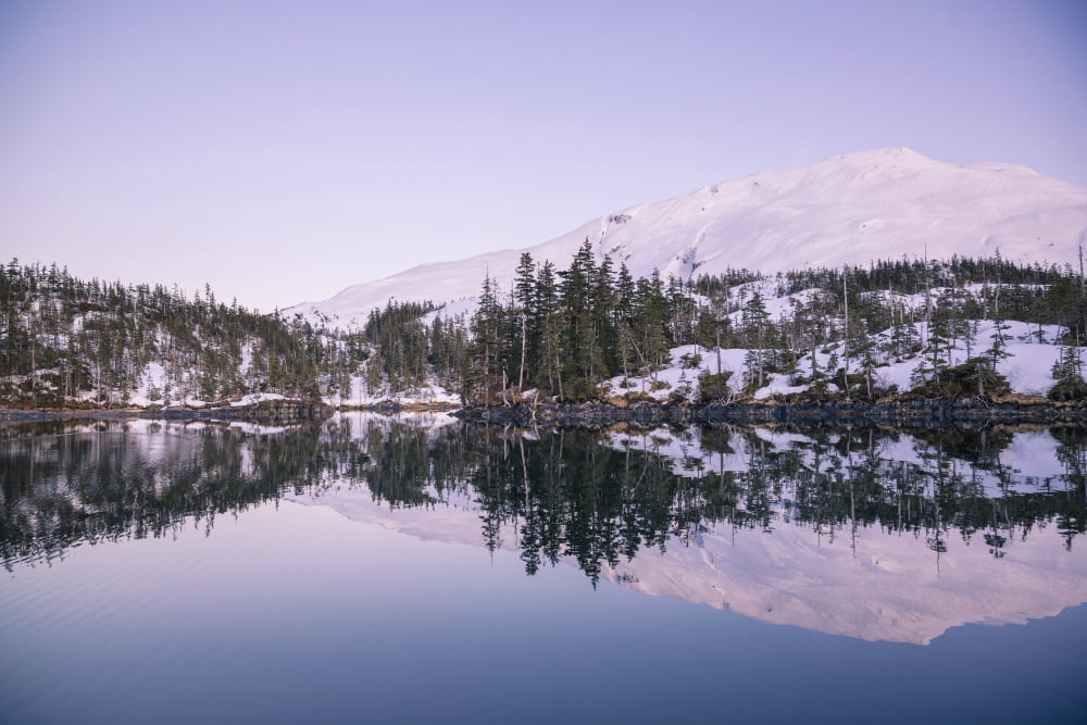 Alpenglow over Chugach mountains and Kings Bay Prince William Sound Whittier Southcentral Alaska USA Winter Canvas Art - Kevin Smith Design Pics (19 x 12)