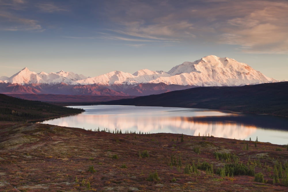 Alpenglow on Denali (Mt McKinley) and the Alaska Range with Wonder Lake in foreground in Denali National Park and Preserve Interior Alaska Canvas Art - Ray Bulson Design Pics (19 x 12)