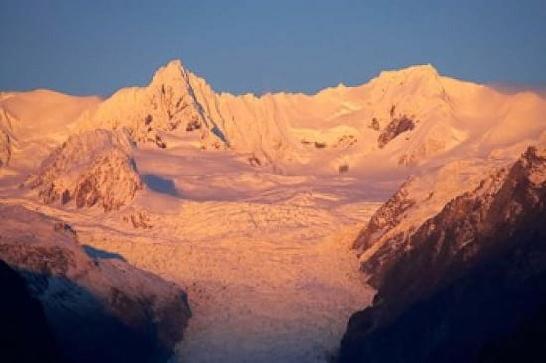 Alpenglow Fox Glacier Neve South Island New Zealand Canvas Art - David Wall DanitaDelimont (24 x 15)