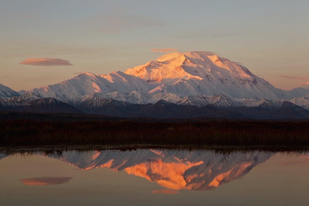 Alpenglow On Mt Mckinley Also Known As Denali Reflected In Tundra Pond At Sunrise Fall Denali National Park Interior Alaska Usa Canvas Art - Gary Schultz Design Pics (38 x 24)