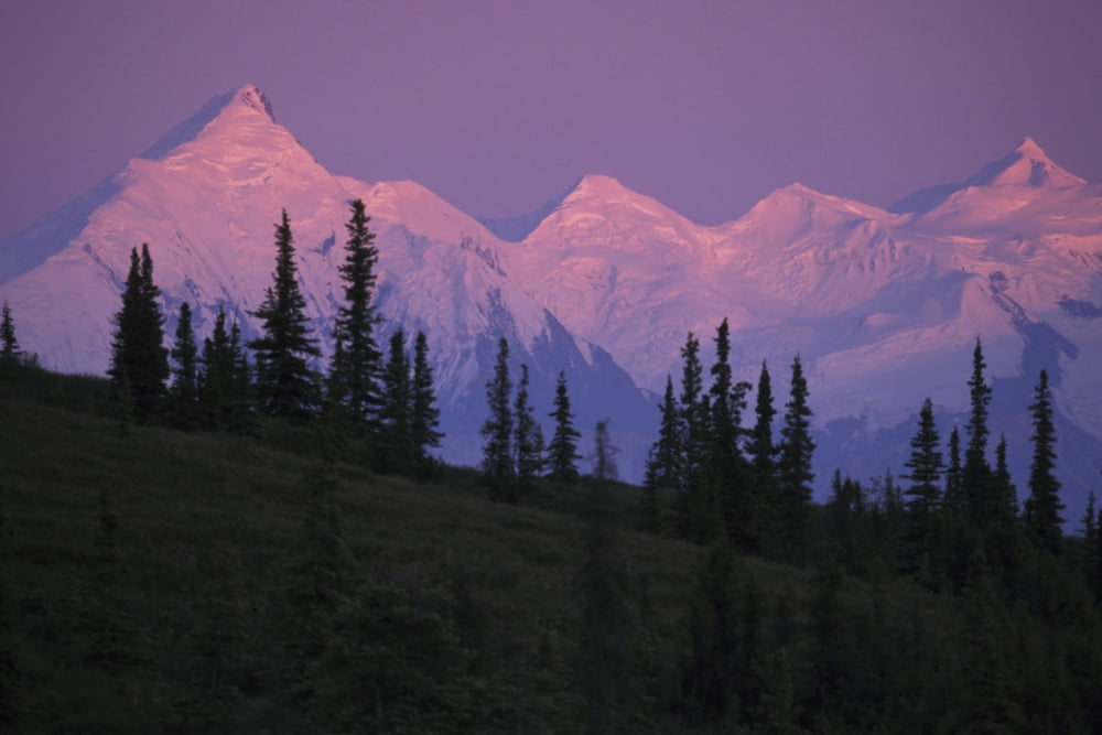 Alpenglow On Mt Brooks & Ak Range Denali Np Ak In Summer Canvas Art - Jeff Schultz Design Pics (34 x 22)