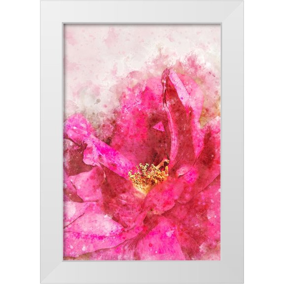 Alpenglow Workshop 11x14 White Modern Wood Framed Museum Art Print Titled - Watercolor Rose