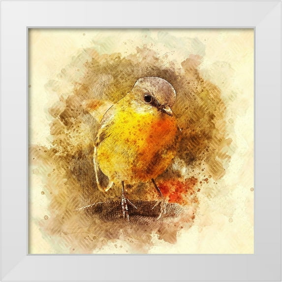Alpenglow Workshop 15x15 White Modern Wood Framed Museum Art Print Titled - Little Bird