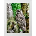 thumbnail image 1 of Alpenglow Workshop 15x18 White Modern Wood Framed Museum Art Print Titled - Long Eared Owl, 1 of 4