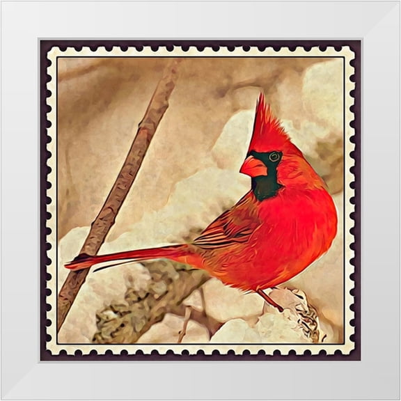 Alpenglow Workshop 20x20 White Modern Wood Framed Museum Art Print Titled - Cardinal Postage Stamp