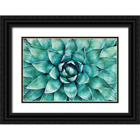 Alpenglow Workshop 24x17 Black Ornate Wood Framed with Double Matting Museum Art Print Titled - Heart of the Succulent