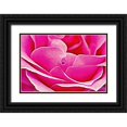 thumbnail image 1 of Alpenglow Workshop 24x17 Black Ornate Wood Framed with Double Matting Museum Art Print Titled - Pink Perfection Rose, 1 of 4