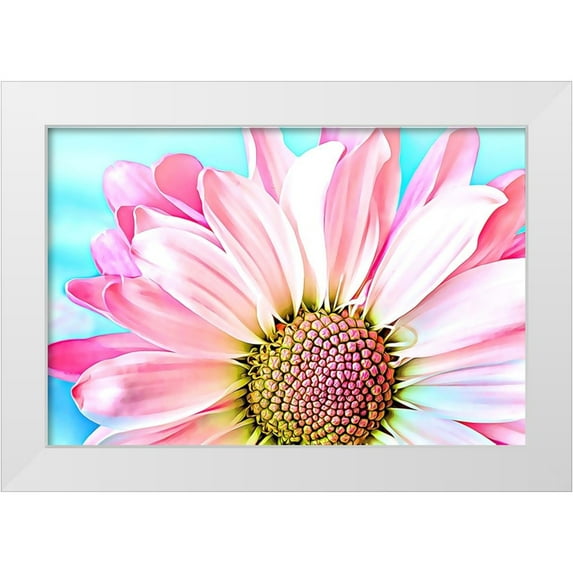 Alpenglow Workshop 24x17 White Modern Wood Framed Museum Art Print Titled - Pink Dahlia