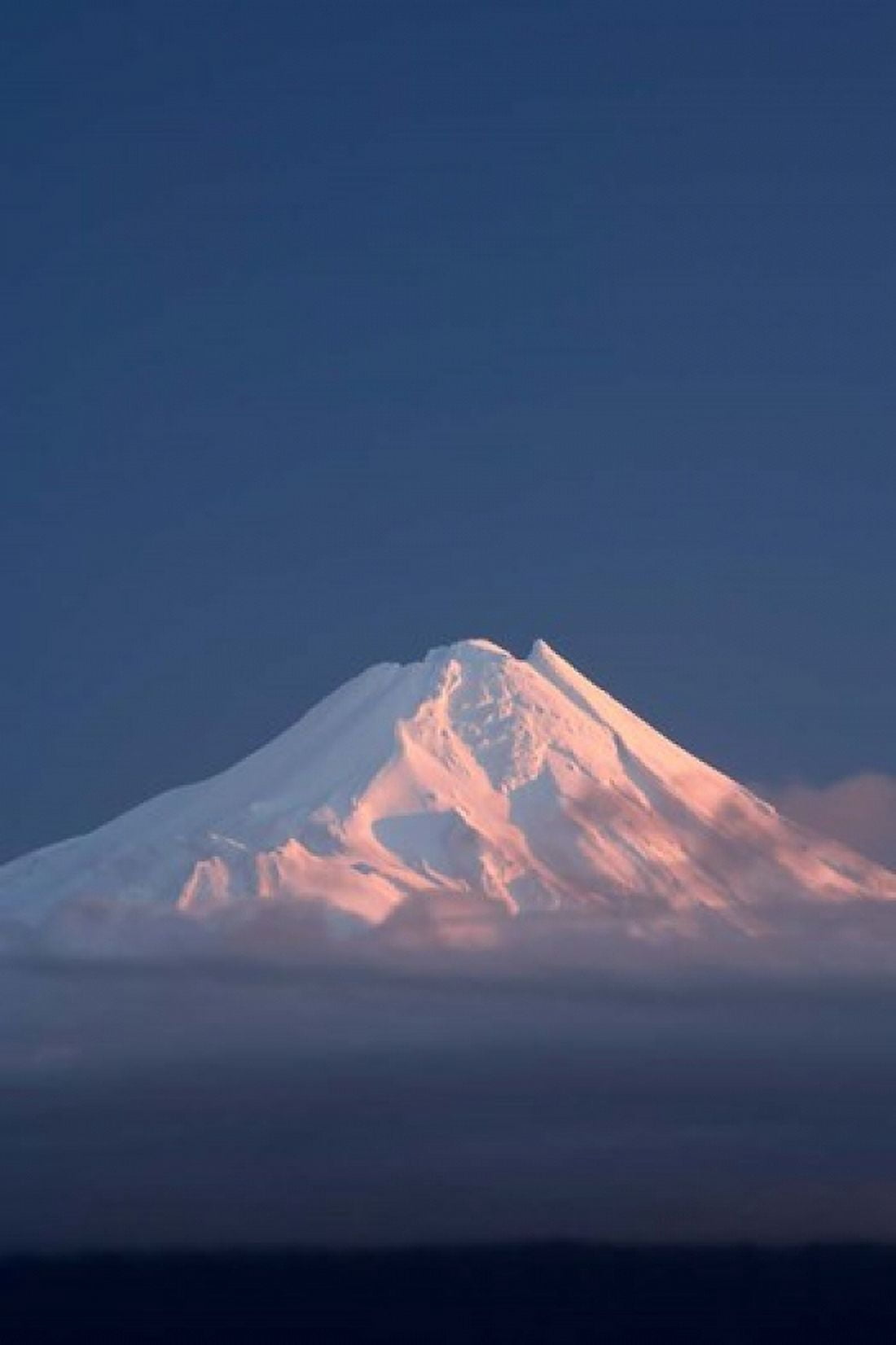 Alpenglow on Mt Taranaki North Island New Zealand Canvas Art - David Wall DanitaDelimont (23 x 34)