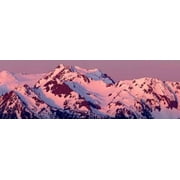 Alpenglow on Olympic Mountains Poster Print by Douglas Taylor (12 x 36)