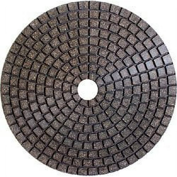 Alpha 4" Ceramica EX Wet Polishing Pad, 1000 Grit